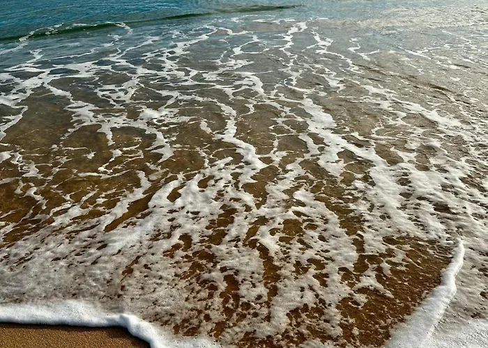 Alfarrobeira By Mtphomes 빌라